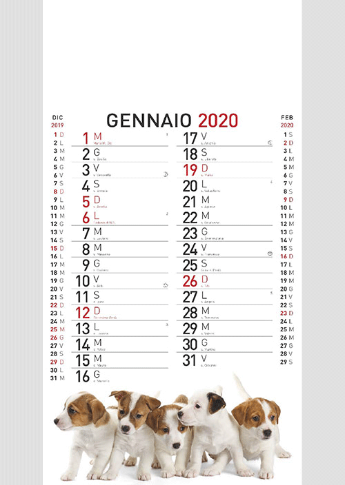 Calendario Olandese MockUp 2020 Cani